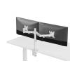 EQuip 17"-32" Articulating Dual Monitor Desk Mount Bracket White 650167