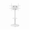 Gembird TVS-86TR-01-W TV floor stand 37"-86" White TVS-86TR-01-W