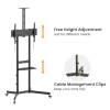 EQuip Economy TV Trolley 37"-70" Black 650636