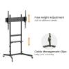 EQuip Economy TV Trolley 55"-100" Black 650637