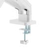 Gembird Desk mounted adjustable double monitor arm 17"-32" White MA-DA2-06-W
