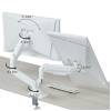 Gembird Desk mounted adjustable double monitor arm 17"-32" White MA-DA2-06-W