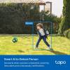 TP-Link Tapo C410 Smart Wire-Free Indoor/Outdoor Security Camera TAPO C410