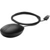 HP Wired Desktop 320M Mouse Black 9VA80AA