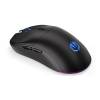 Endorfy GEM Plus Wireless Black EY6A013