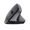 Trust Bayo II Ergonomic Wireless Mouse Black 25145