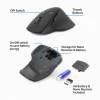 ACT AC5151 Wireless Mouse Black AC5151