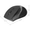 Defender Accura MM-295 Wireless Mouse Black DEF52295