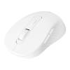 Everest SM-300 Wireless Bluetooth Mouse White 40102