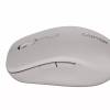 Canyon MW-12 Dual Band Wireless Mouse Beige CNS-CMSW12BG