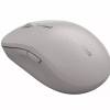 Canyon MW-12 Dual Band Wireless Mouse Beige CNS-CMSW12BG
