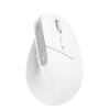 Trust Bayo+Wireless Bluetooth Mouse White 25399