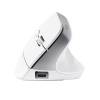 Trust Bayo+Wireless Bluetooth Mouse White 25399