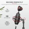 Trust GXT 244 Buzz USB Streaming Microphone 23466