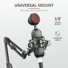 Trust GXT 244 Buzz USB Streaming Microphone 23466