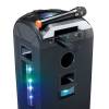Lenco MCW-011BK wireless Microphone with 6,3mm battery powered receiver Black MCW-011BK