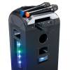 Lenco MCW-020BK Set of 2 wireless microphones with portable battery powered receiver Black MCW-020BK