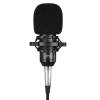 Media-Tech MT397K Studio and Streaming Microphone Black MT397K