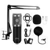 Media-Tech MT397S Studio and Streaming Microphone Silver MT397S