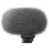 Sony ECM-G1 Shotgun Microphone ECMG1Z.SYU