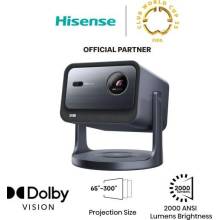 Hisense C2 4K Smart Mini 20015329