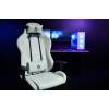 Arozzi Torretta Soft Fabric v2 Gaming Chair Pearl Green TORRETTA-SFB-PGN