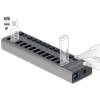 DeLock 13-port USB Hub Black 63738