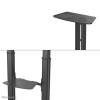 Neomounts PLASMA-M1950E Mobile Monitor/TV Floor Stand for 60"-100" Black PLASMA-M1950E