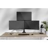 Neomounts DS60-600BL2-1 Triple monitor arm 10-32" Black DS60-600BL2-1