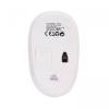 Everest SMW-666 Optical Wireless Mouse White 33151