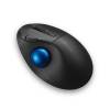 Kensington Pro Fit Ergo TB450 Trackball Black K72194WW