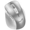 Genius Ergo 9000S Pro Wireless mouse Silver 31030039402