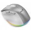Genius Ergo 9000S Pro Wireless mouse Silver 31030039402