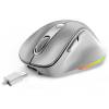 Genius Ergo 9000S Pro Wireless mouse Silver 31030039402