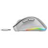 Genius Ergo 9000S Pro Wireless mouse Silver 31030039402