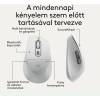 Logitech Signature Comfort M850 L Bluetooth Mouse Graphite 910-007716
