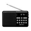 SANDBERG Speaker Radio FM + BT recharge, MP3 playable from USB or TF-Card, Super Small, 5 év garancia 421-18