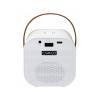 Carneo Dj Mini for Kids Karaoke Set Speaker White 8588010359049