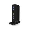 RAIDSONIC Icy Box 12-in-1 USB Type-C & Type-A Dock IB-DK2252AC