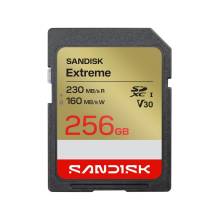 Sandisk 256GB SDXC Extreme GO UHS-I U3 V30 SDSDXGN-256G-GNCIN