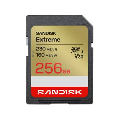 Sandisk 256GB SDXC Extreme GO UHS-I U3 V30 SDSDXGN-256G-GNCIN Sandisk 256GB SDXC Extreme GO UHS-I U3 V30 SDSDXGN-256G-GNCIN