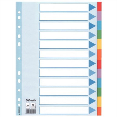 Regiszter, karton, A4, 12 részes, írható előlappal, ESSELTE "Standard", színes 