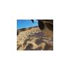 GoPro Fetch (Dog harness)