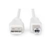 Assmann USB 2.0 kábel, A m / B m , 3,0m AK-300102-030-E