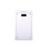 ASSMANN - NETWORK DIRECT SHIP DIGITUS WALL MOUNTING CABINET DN-19 20-U