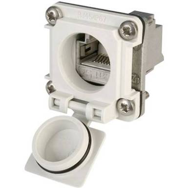 STX V6 RJ45 peremes készlet változat, 6 csatlakozóaljzat, beépíthető Pólus: 8P8C STX V6 élénk szürke Telegärtner STX V6 RJ45 peremes készlet változat, 6 csatlakozóaljzat, beépíthető Pólus: 8P8C STX V6 élénk szürke Telegärtner