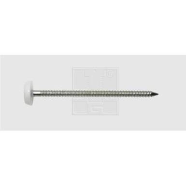 SWG 984 131 65 30 984 131 65 30 Rozsdamentes szegek, műanyag fejjel 3,1 X 65 rozsdamentes A4 3.1 mm 40 db SWG 984 131 65 30 984 131 65 30 Rozsdamentes szegek, műanyag fejjel 3,1 X 65 rozsdamentes A4 3.1 mm 40 db