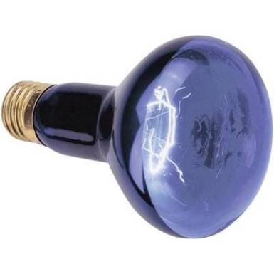 Feketefény-, UV reflektor fényforrás, 8951000575 WE27 Feketefény-, UV reflektor fényforrás, 8951000575 WE27