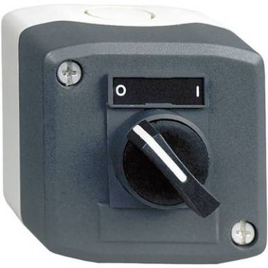 Kapcsol&oacute; h&aacute;zban, 2 &aacute;ll&aacute;s&uacute;, s&ouml;t&eacute;tsz&uuml;rke/vil&aacute;gossz&uuml;rke, Schneider Electric Harmony XALD134