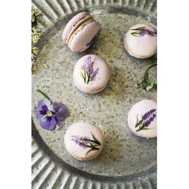 iP6/6S Ozaki OC563LV Macaron Lavander